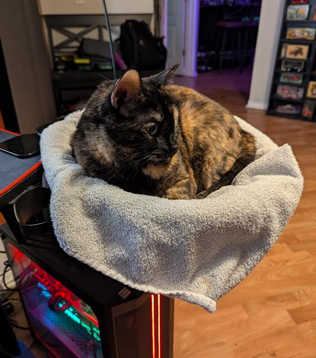 My Cat Bella enjoy a cat bed with a desk clamp mount above my tower