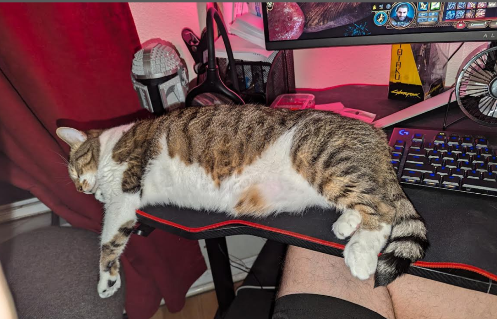 My cat Leo laying on my gaming desk, blocking the keyboard